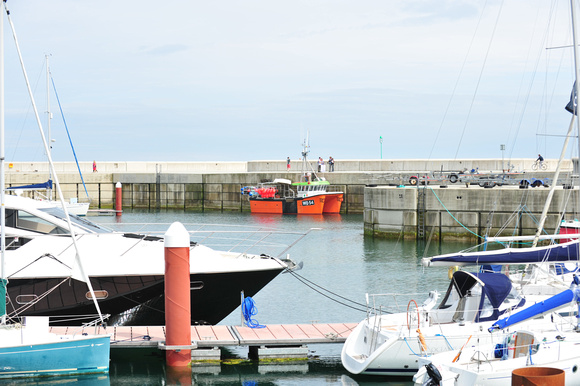 Ivan Toole landing fish @ Greystones (10)