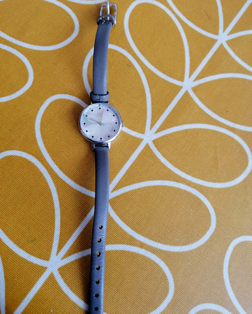 Found Watch The Cove at Garda Station 11MAR21