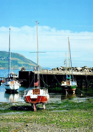 Greystones-Harbour-Boats-Source-Jackie-England-665x943 (564x800)