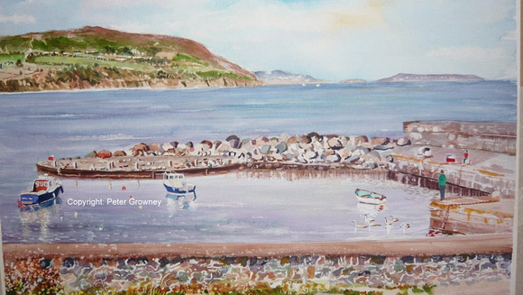 Greystones Harbour Painting by Peter Growney