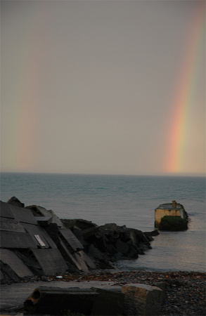 Harbour Rainbow