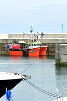 Ivan Toole landing fish @ Greystones (9)