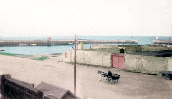 View-From-The-Harbour-Bar-1951.-Source-Bray-Did-You-Know-721x417
