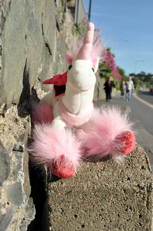 Found Pink Unicorn Toy 29MAY22 (800x1204)
