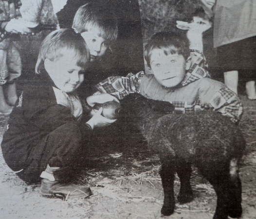 Delgany's Kevin Meaney and Hugh & Charlie Sherry at the Keegan farm in Enniskerry 1995 Bray People