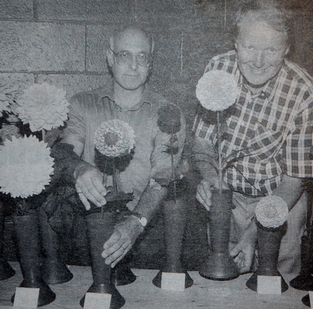 Peter Harrison & John Markham get ready for another Delgany & District Horticultural Society summer rose show 1997 Bray People