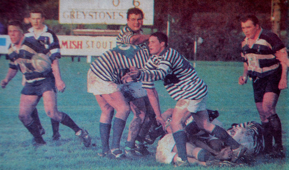 Greystones scrum-half Stephen Scanlan gets the ball away at Dr Hickey Park 1998 Bray People