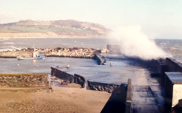 Greystones Harbour Pic Niall Farrell 2 (800x500)