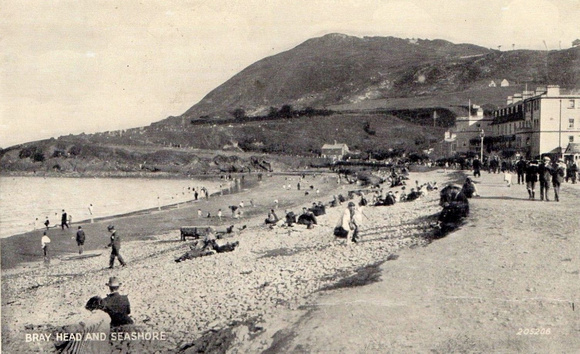 Bray Head & Seashore vintage postcard
