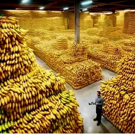 Bananas fruit factory mountain healthy food