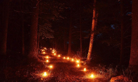 candlelight walk forest glenmalure avondale