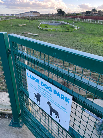 Darcy's Field Dog Park TUES7NOV23 1