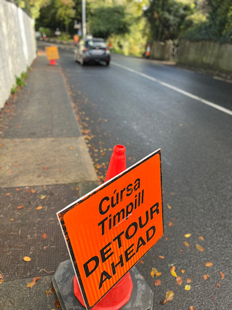 Delgany Priory Road Works SUN29OCT23 1