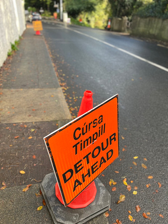 Delgany Priory Road Works SUN29OCT23 2