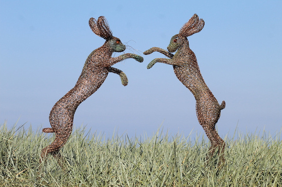 Emma Rushworth Heron Project OCT23 Boxing hares Bronze and Stainless beach