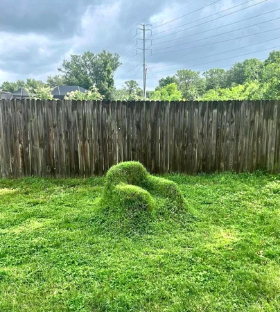 garden seat landscape chair overgrown sculpture topiary