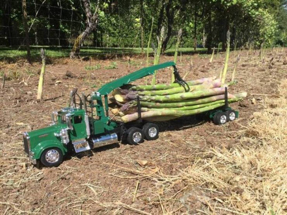 happy pear farm asparagus toys courier fruit vegetables wholesale harvest lorry