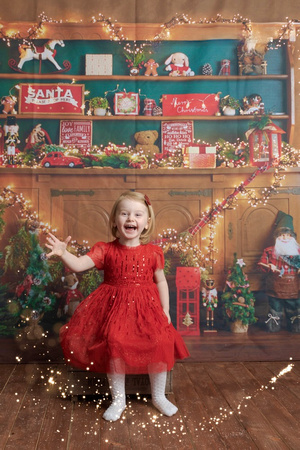 Sheena Griffin Christmas Photography OCT23 1