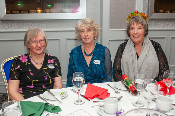 Greystones Cancer Support Christmas Lunch John McGowan SUN3DEC23 GG 17.jpg