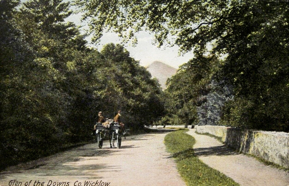 Glen Of The Downs Vintage Postcard Colorised