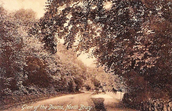 glen of the douns, north bray postcard glen of the downs Reliable Series by WR&S