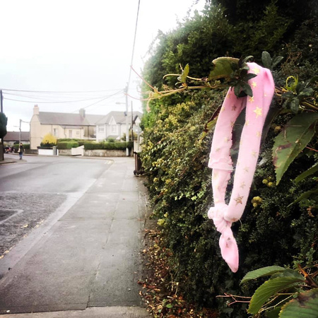 Found Pink Hairband Bellevue Road Eoin O'Mahoney 19OCT21
