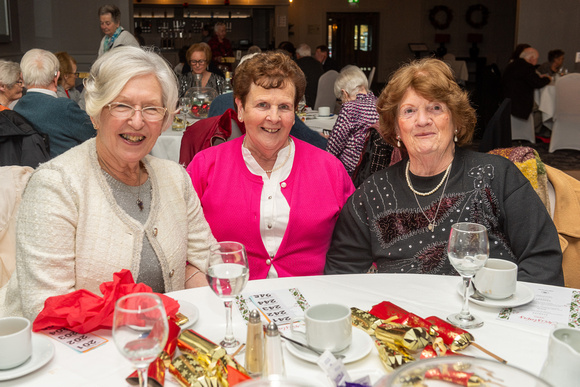 Greystones Active Retirement Christmas Lunch THURS4JAN24 John McGowan GG 13.jpg