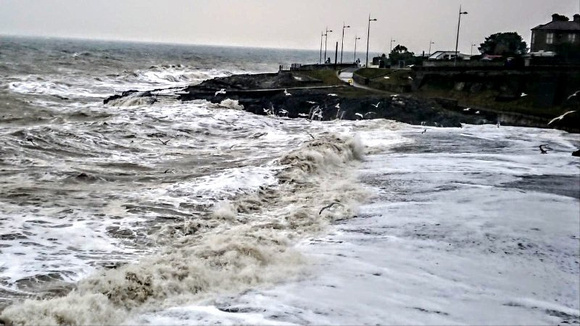 Codagh An Chuais by James O'Neill disserocounselling@gmail.com Greystones Rocks 2018 (800x450)