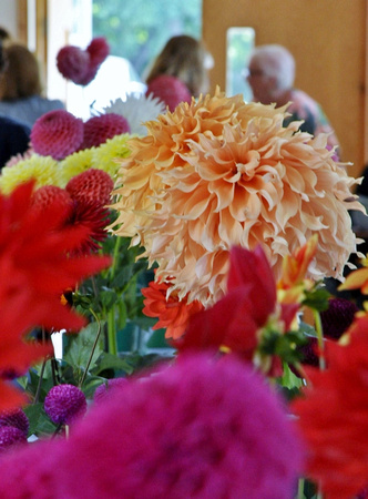 Delgany & District Horticultural Society Dahlia Show SAT27AUG22 GG 12.jpg