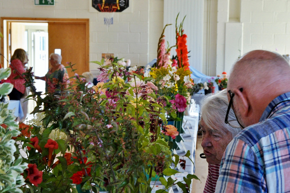 Delgany & District Horticultural Society Dahlia Show SAT27AUG22 GG 11.jpg