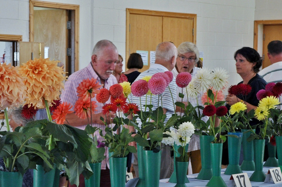 Delgany & District Horticultural Society Dahlia Show SAT27AUG22 GG 08.jpg