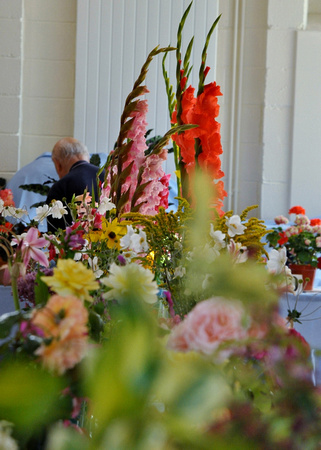 Delgany & District Horticultural Society Dahlia Show SAT27AUG22 GG 10.jpg