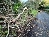 Blackberry Lane Storm Darragh SAT7DEC24 9