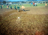 Darcy's Field Mini League circa 1999 Paula Thompson MAR21 5