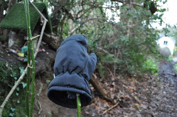 Glove Found Fairy Trail THURS21JAN21