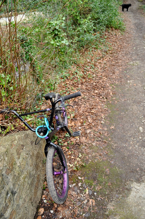 Found Bike The Glebe MON8FEB21 2