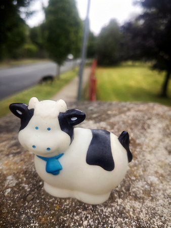 Found Toy Cow Delgany Wood 8SEPT22