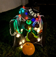 Halloween Pics Spooky Kermit 31OCT24 Sinead Murtagh